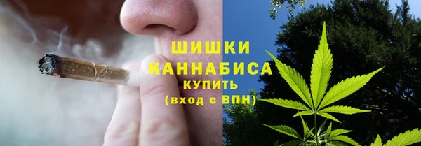 гидропоника Алзамай