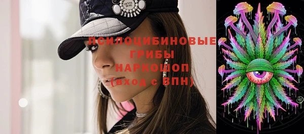 гидропоника Алзамай