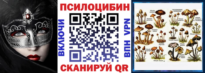 Псилоцибиновые грибы Cubensis  сайты даркнета телеграм  Гаврилов Посад 
